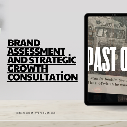 Tier 1 Brand Assessment and Strategic Growth Consultation